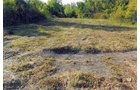 High ground on East side of property - REAL ESTATE AUCTION, 5.1 Acre Building Site, Sealed Bid Auction